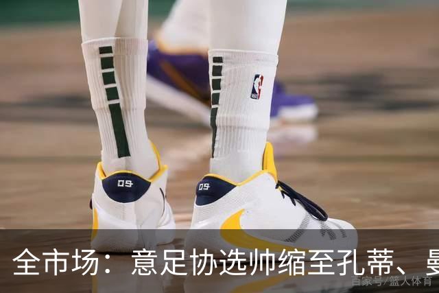 全市场：意足协选帅缩至孔蒂、曼奇尼